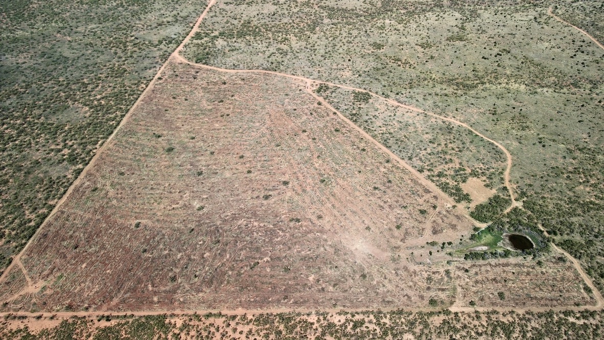 Aerial view of a 60-acre EQIP mesquite grubbing project beside selectively retained brush on Texas Grubbing's own Rolling Plains property.